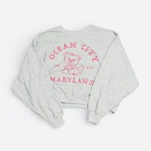Gray and pink cropped sweatshirt